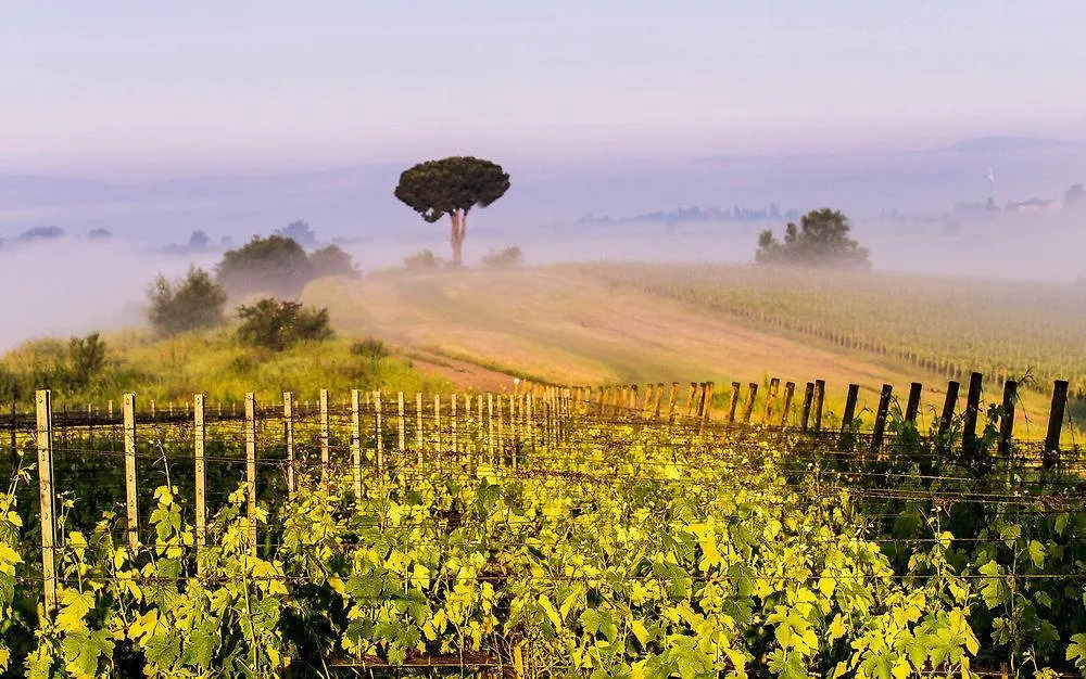 Villa Loggio Winery And Boutique Hotel Cortona